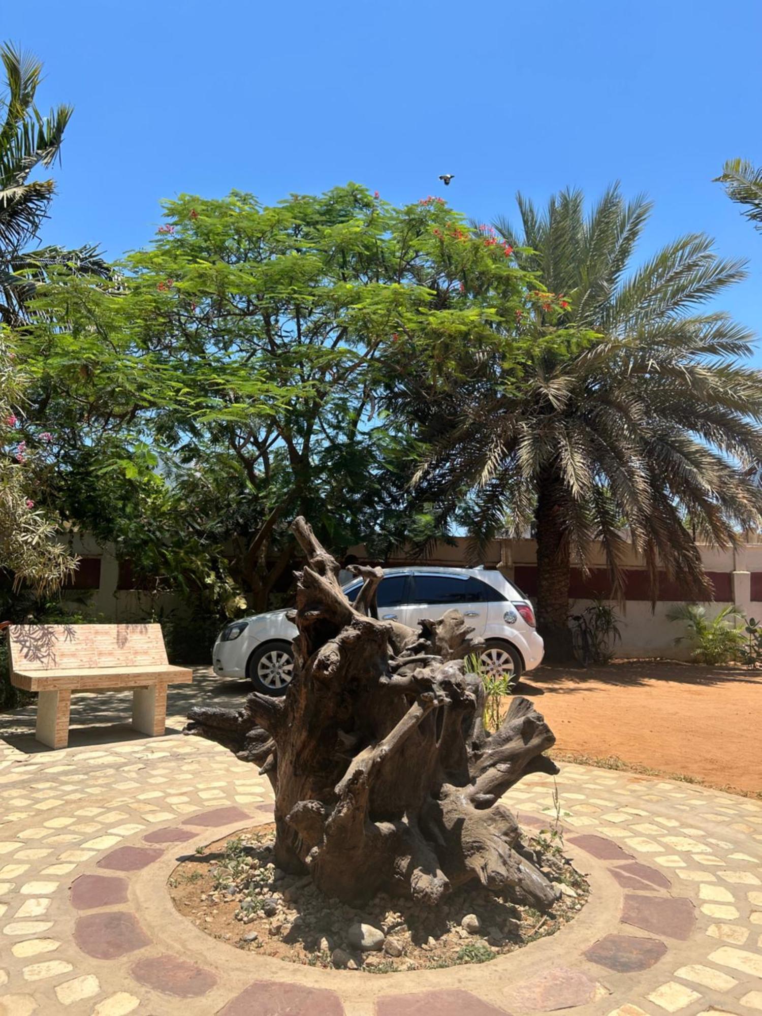 לינה וארוחת בוקר טוליארה Bohobe Naboty מראה חיצוני תמונה